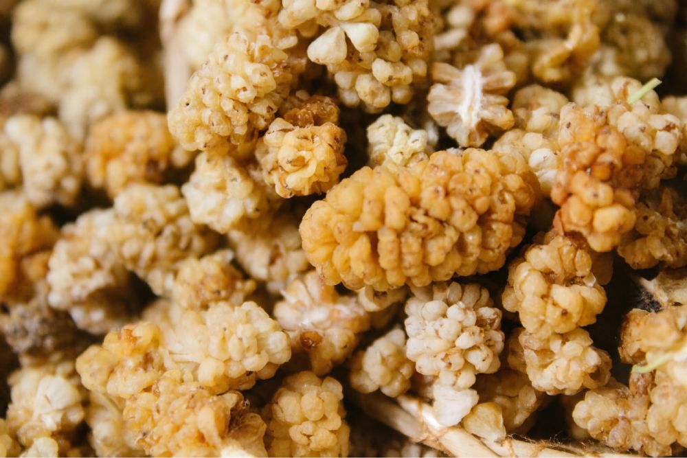 Dut Kurusu Çekirdeksiz