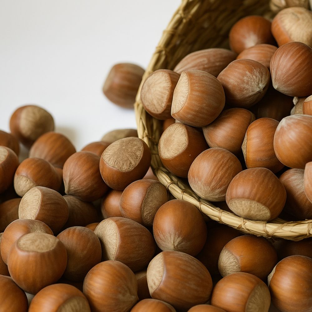 Çiğ Foça Fındık