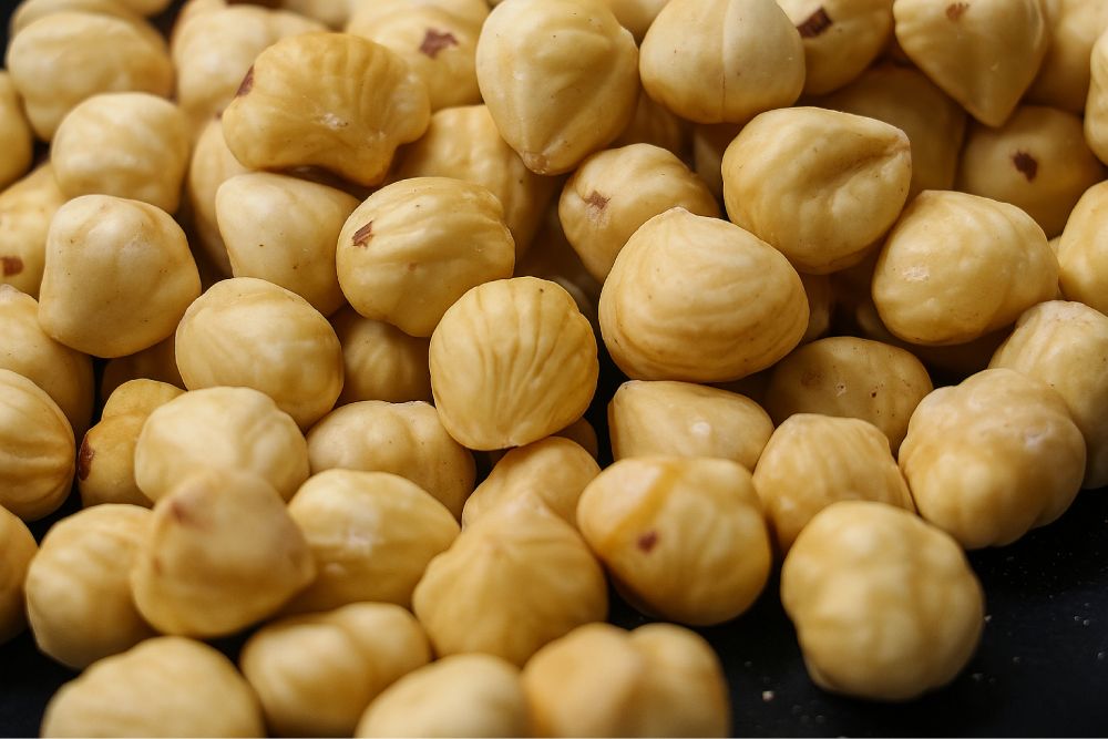 Fabrikasyon Fındık