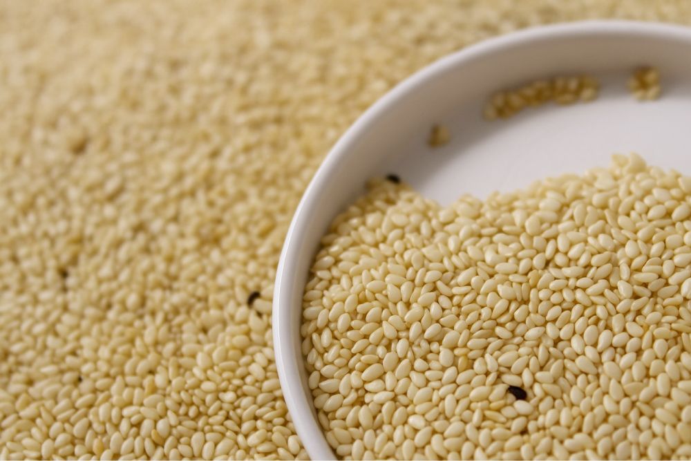 Diğer & Çeşitli Ürünler