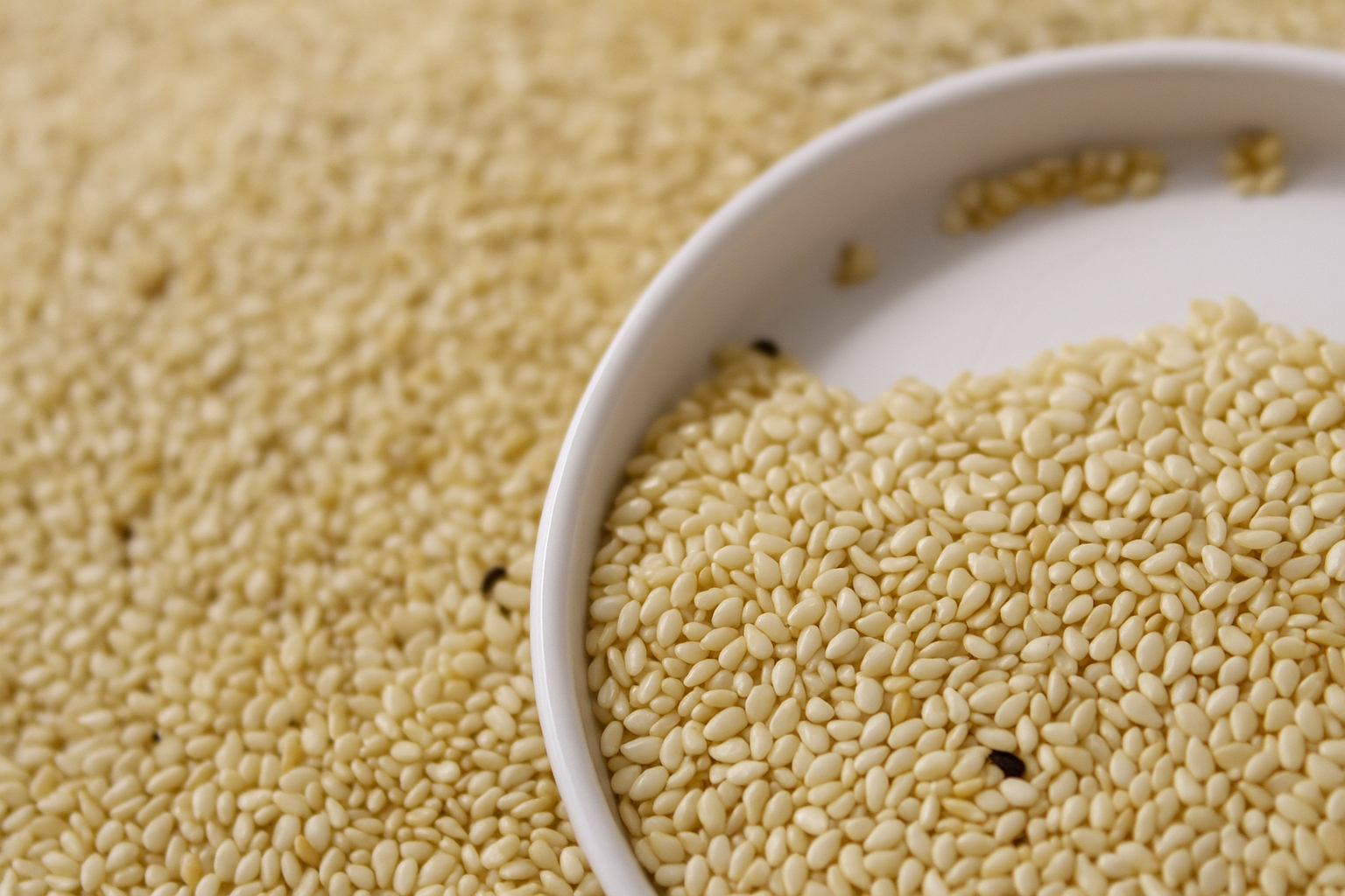 Diğer & Çeşitli Ürünler